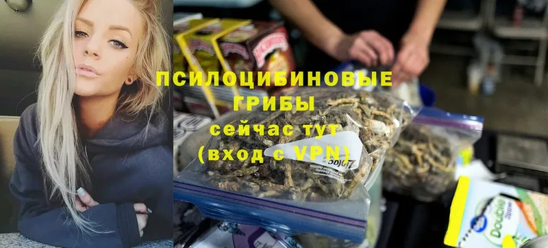 mega вход  Аксай  Псилоцибиновые грибы Psilocybe 